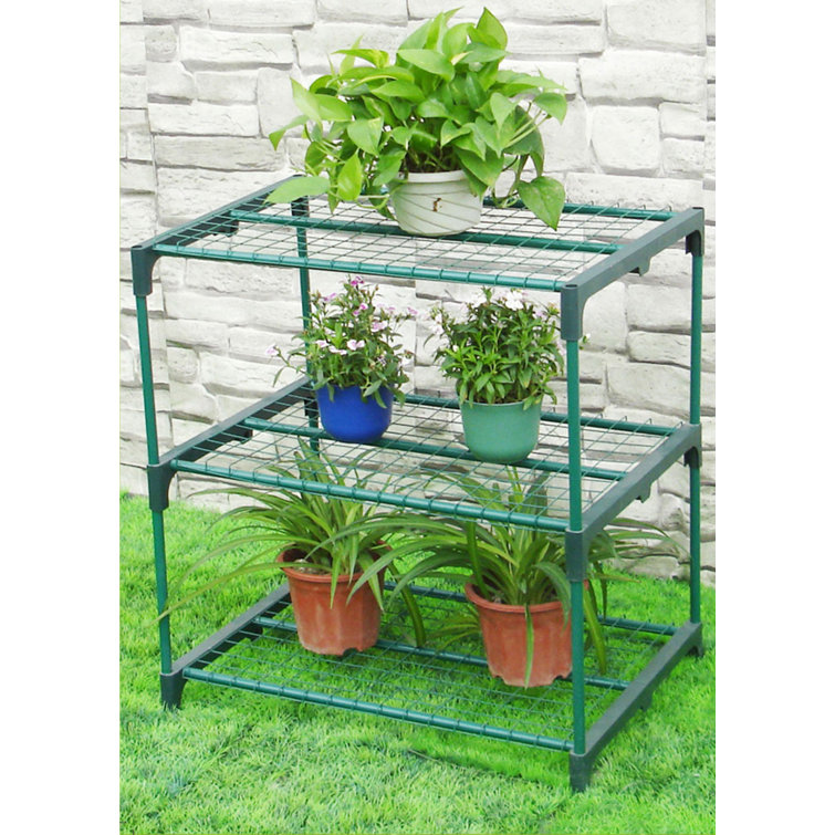 Zenport 30" W x 18" D Growing Rack Greenhouse & Reviews Wayfair